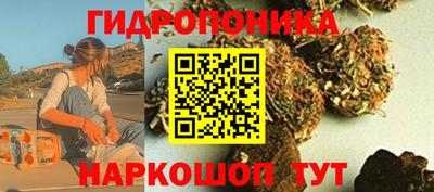 гидропоника Заволжье
