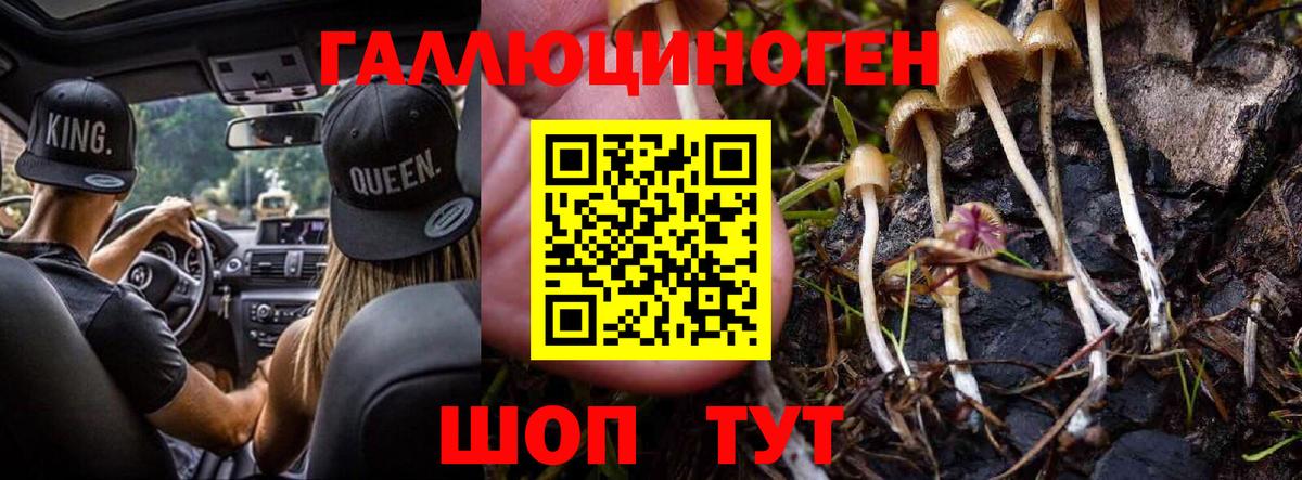 Янаул  Псилоцибиновые грибы мухоморы  Вход с VPN 